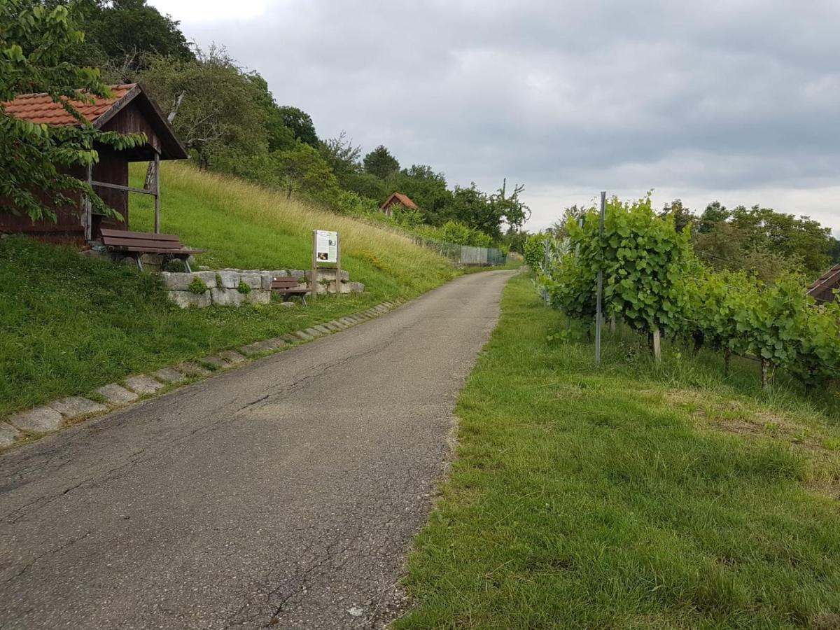 Ferienwohnung Burgblick Im Neuffener Tal Mit Sauna Und Wallbox Frickenhausen  Ngoại thất bức ảnh