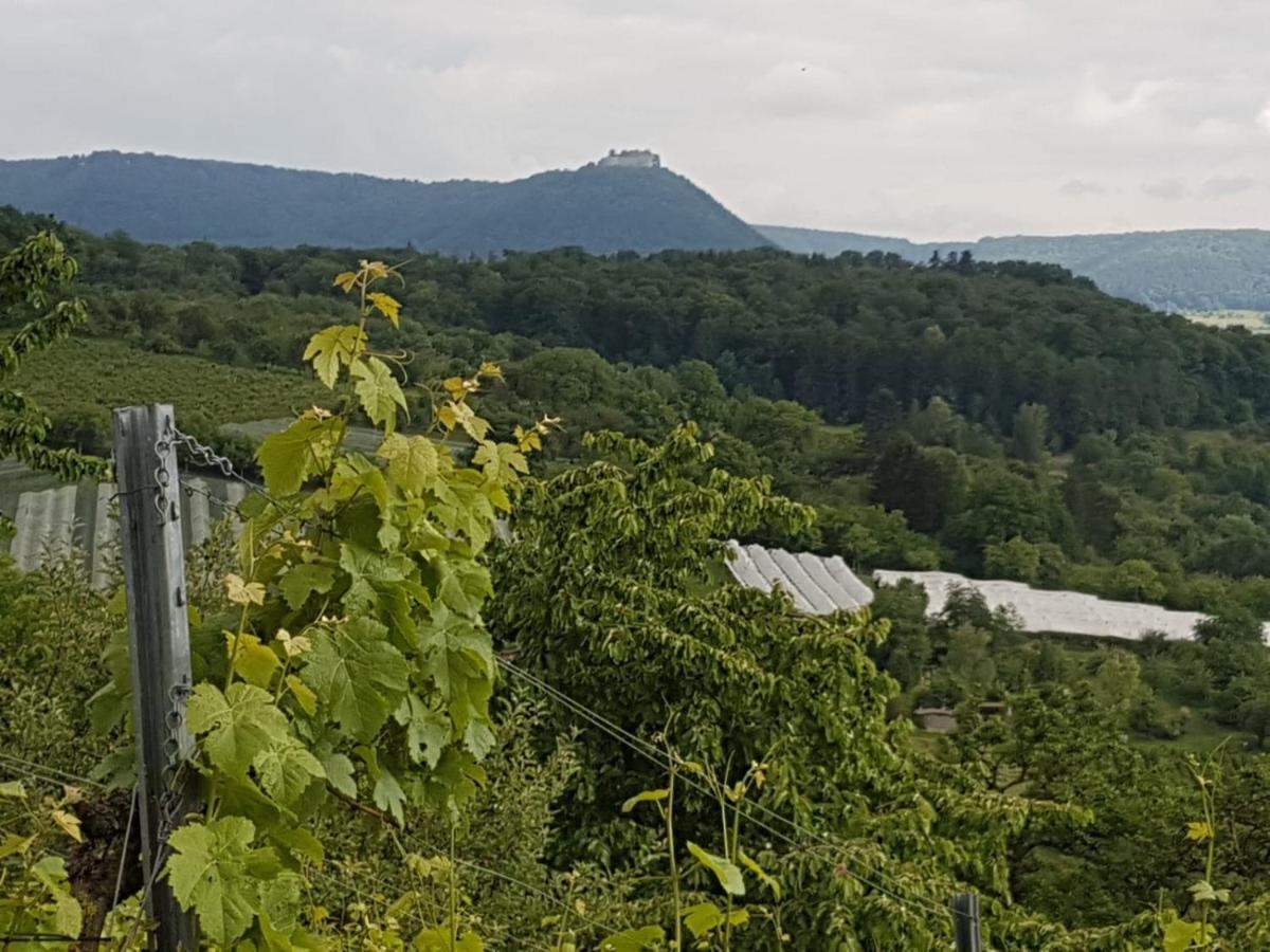 Ferienwohnung Burgblick Im Neuffener Tal Mit Sauna Und Wallbox Frickenhausen  Ngoại thất bức ảnh