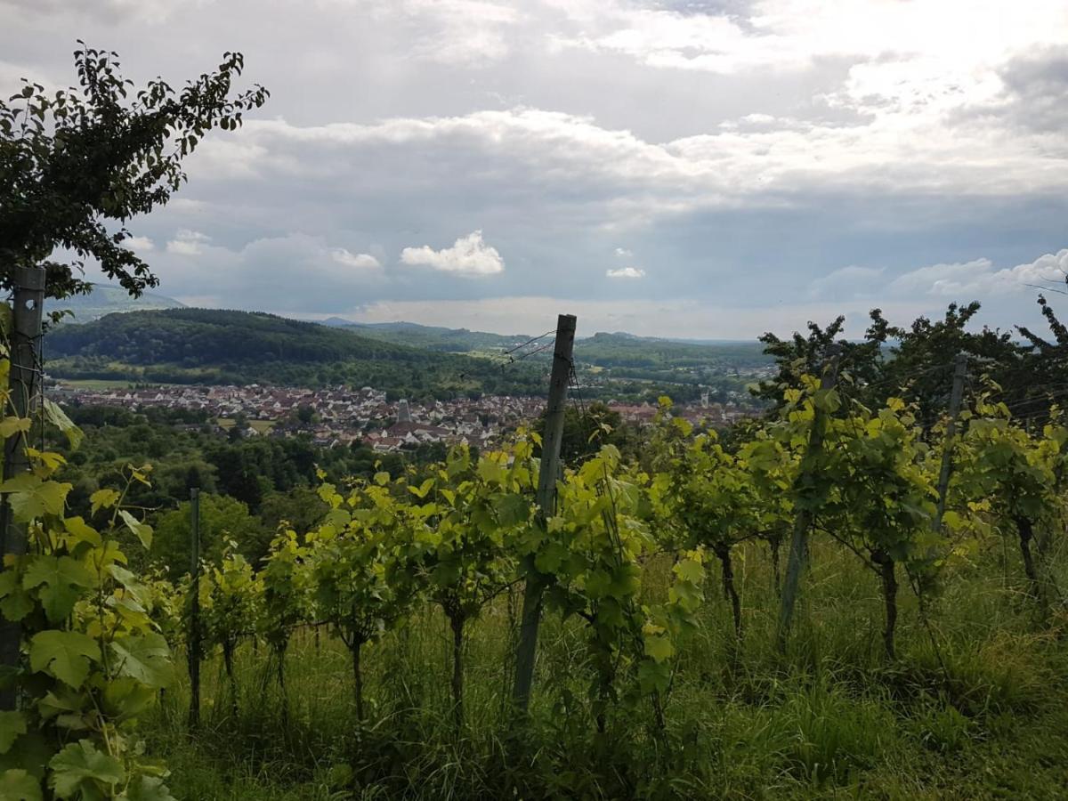 Ferienwohnung Burgblick Im Neuffener Tal Mit Sauna Und Wallbox Frickenhausen  Ngoại thất bức ảnh